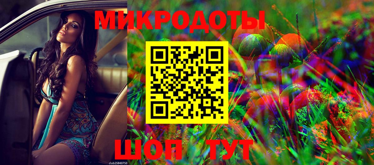 Галлюциногенные грибы Psilocybe Семилуки
