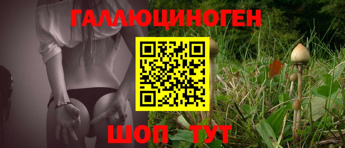 Псилоцибиновые грибы Psilocybe  Вход с VPN  Семилуки 